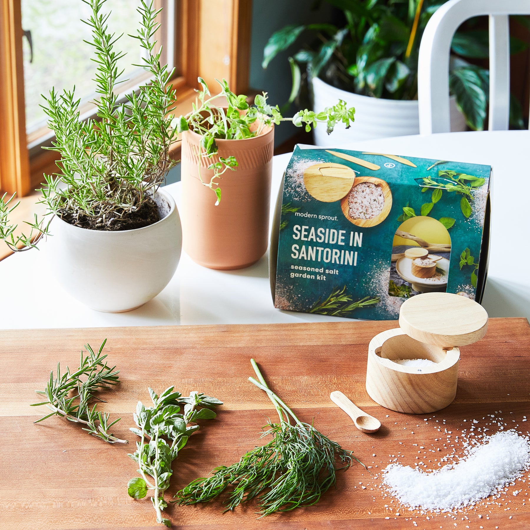 Seed collection and accessories displayed on a wooden table with herbs, salt, and a plant in a pot.