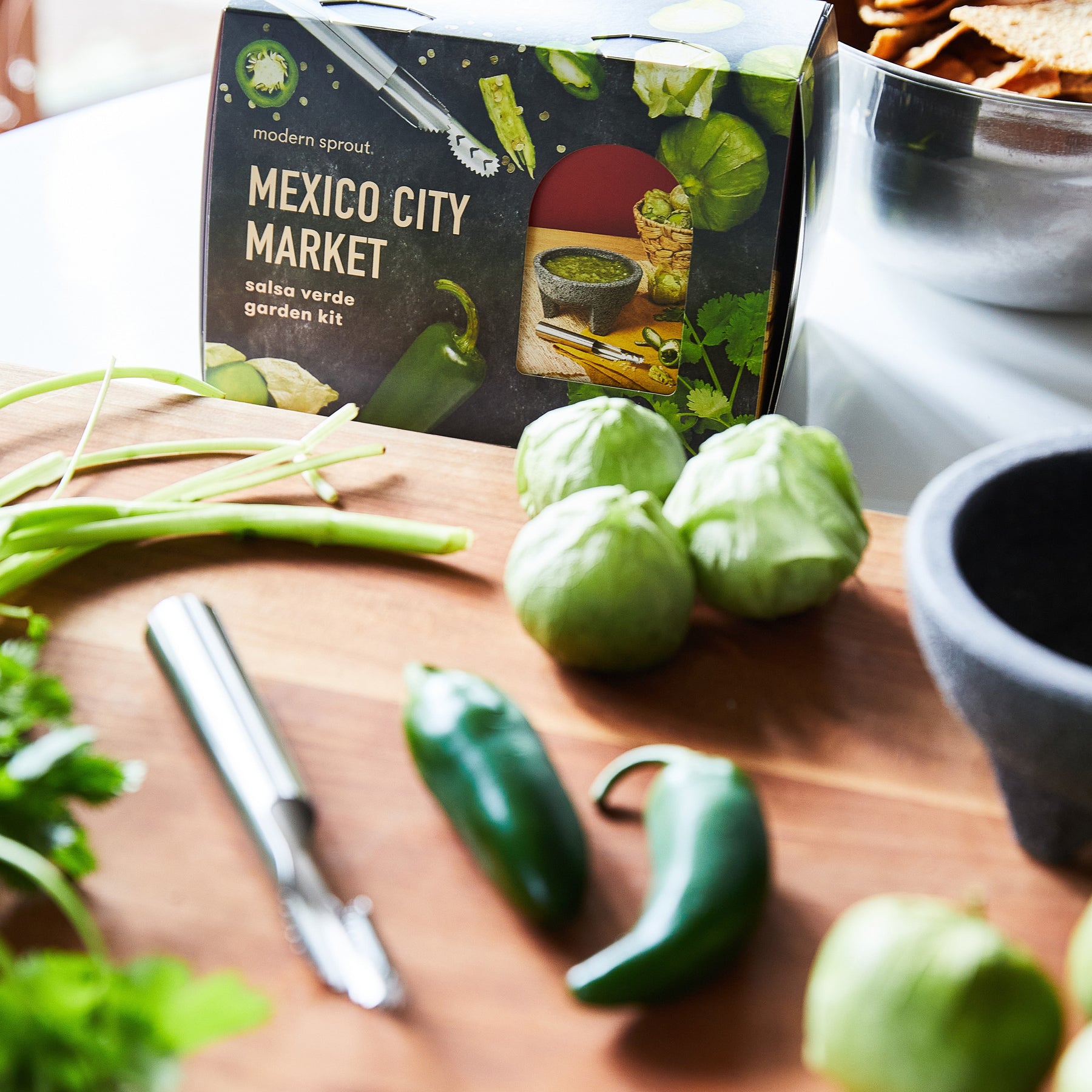 Seed collection kit featuring ingredients for salsa verde, including tomatillos, jalapeños, and fresh herbs on a wooden surface.