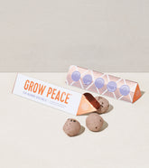 Bright Side Seed Balls packaging with three seed balls displayed, promoting easy planting for a vibrant garden.