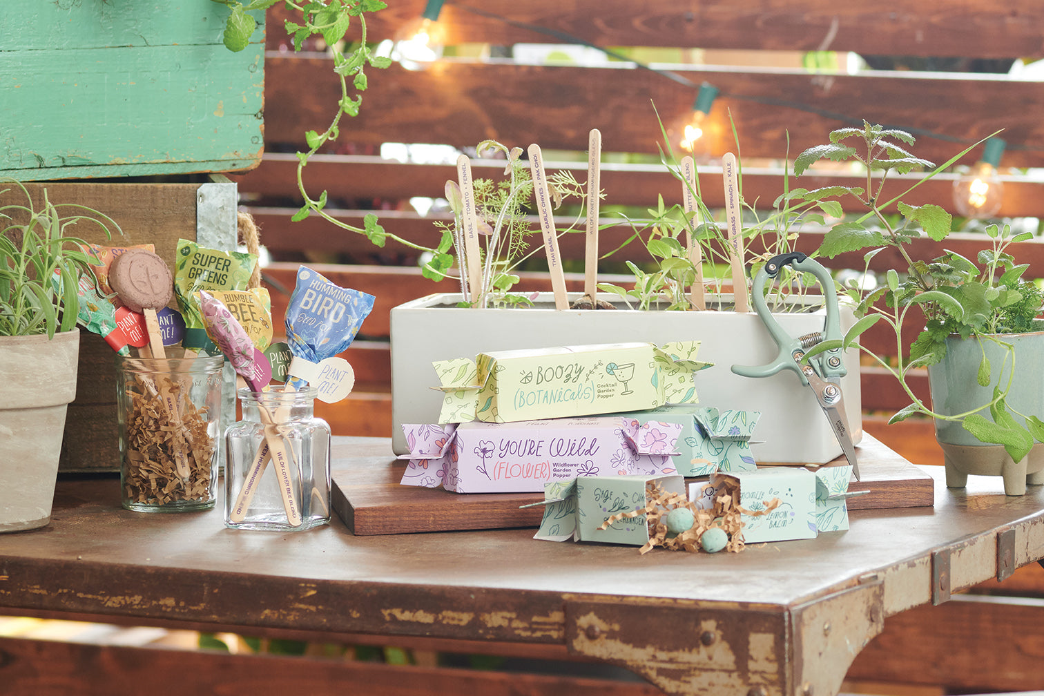 Colorful seed lollipops displayed on a wooden table, surrounded by potted plants and gardening tools, promoting culinary gardening.