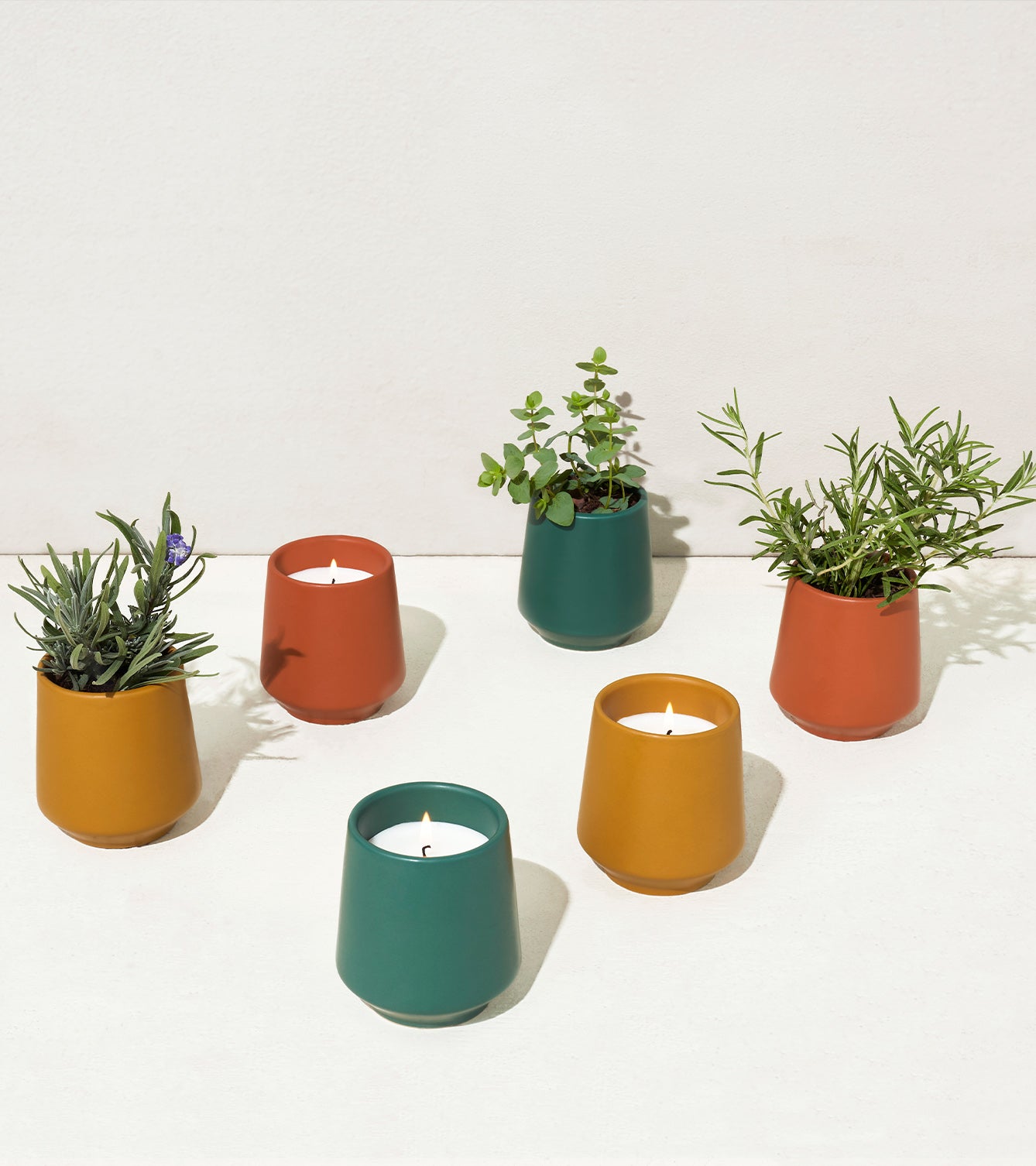 Six colorful candles in modern pots, with some featuring small plants, arranged on a light background.