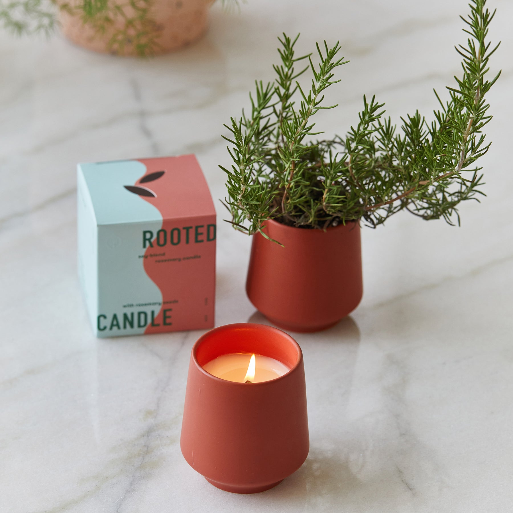 A terracotta candle holder with a lit candle sits beside a small plant, accompanied by a colorful box labeled "Rooted Candle.