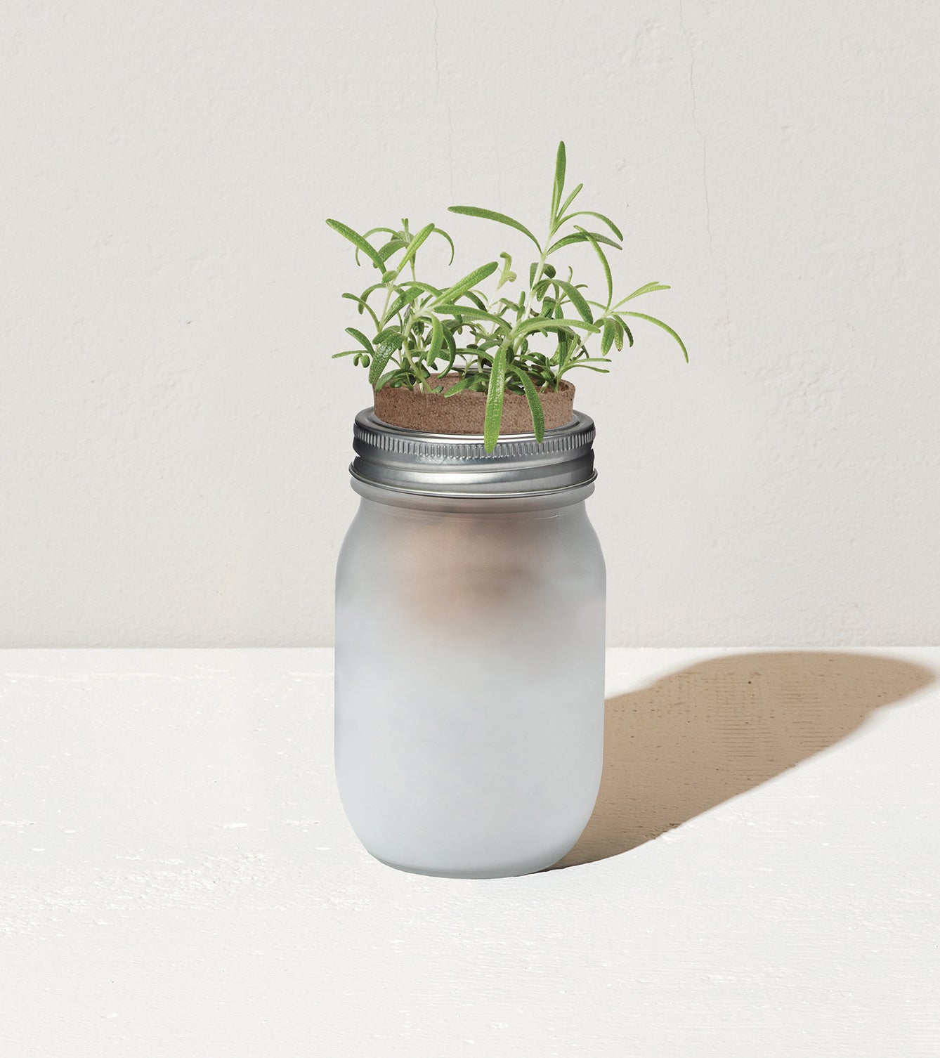 Frosted glass jar with a metal lid, featuring a small plant growing from soil at the top.