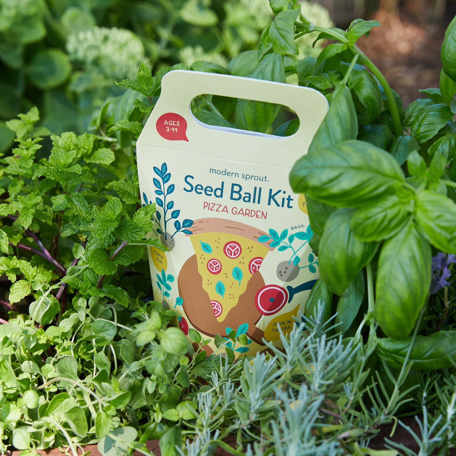 Seed Ball Kit for a pizza garden nestled among fresh herbs and greenery, showcasing vibrant packaging and natural surroundings.