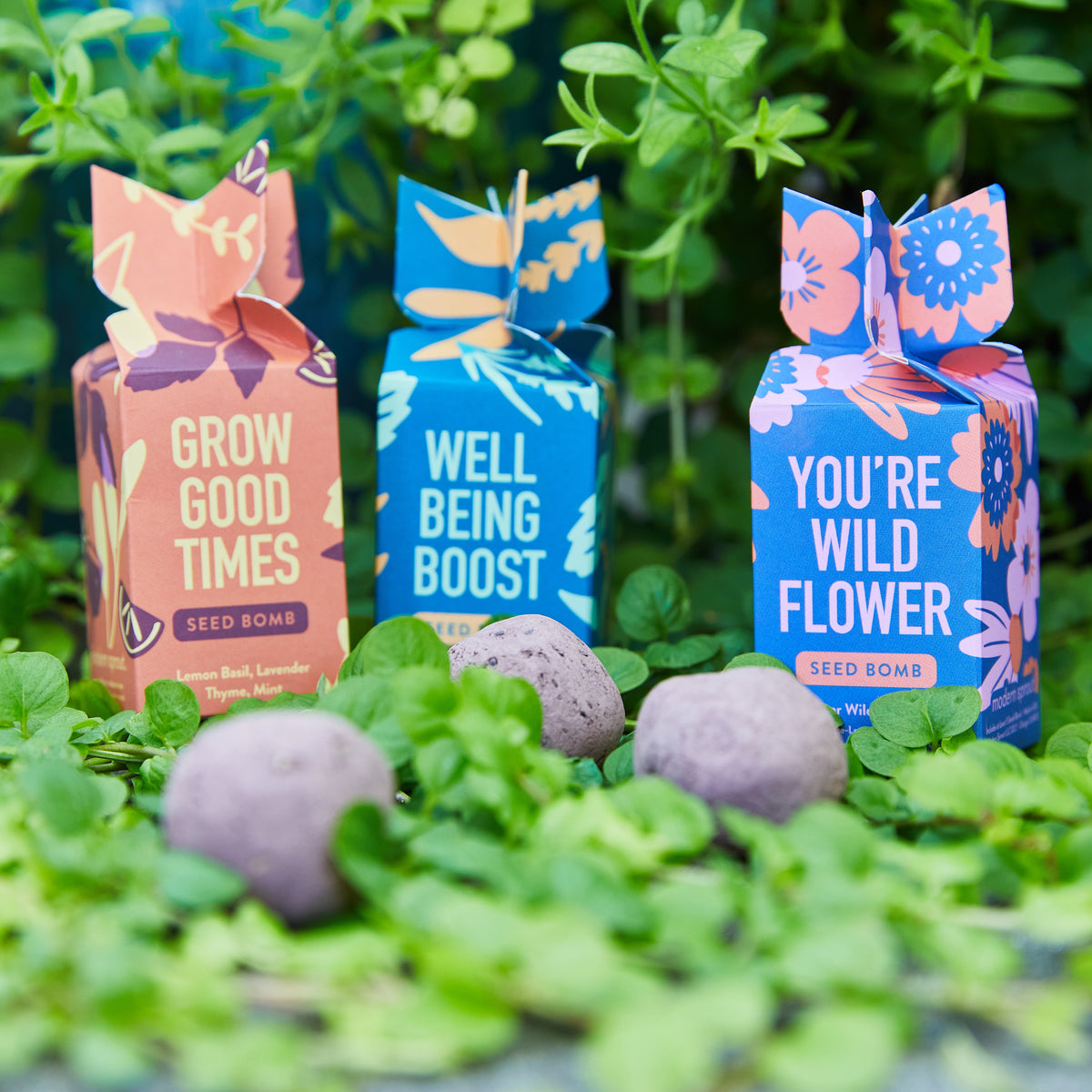 Colorful seed bomb packaging featuring "Grow Good Times," "Well Being Boost," and "You're Wild Flower" among greenery.