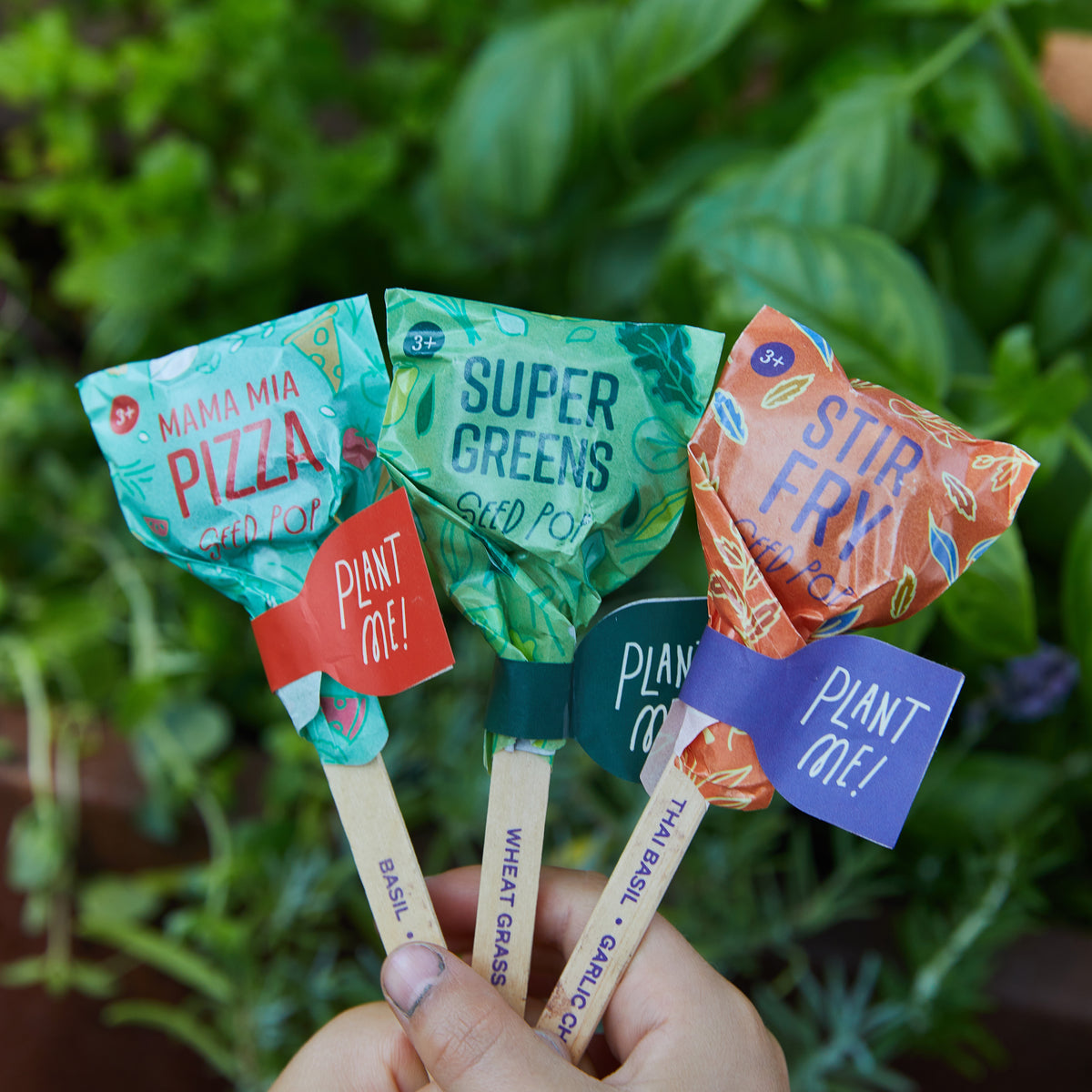 Hand holding three colorful Seed Lollipops labeled Mama Mia Pizza, Super Greens, and Stir Fry, set against a backdrop of greenery.