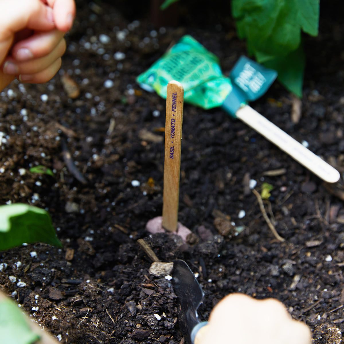Hands planting a seed lollipop in soil, with a labeled wooden marker indicating "Basil: Thai.