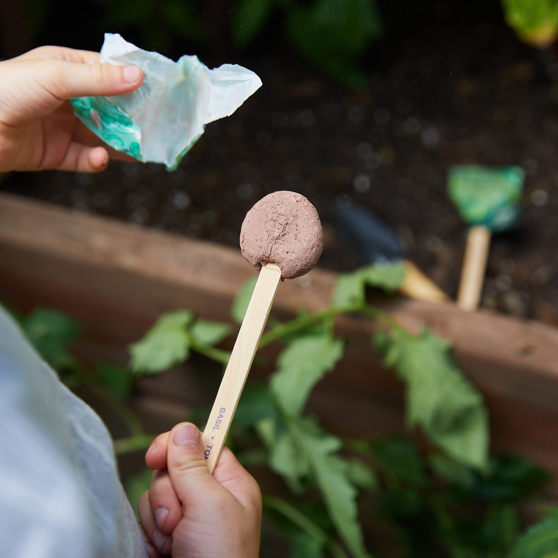 Child holding a seed lollipop on a wooden stick, preparing to plant it in a garden bed with green foliage.