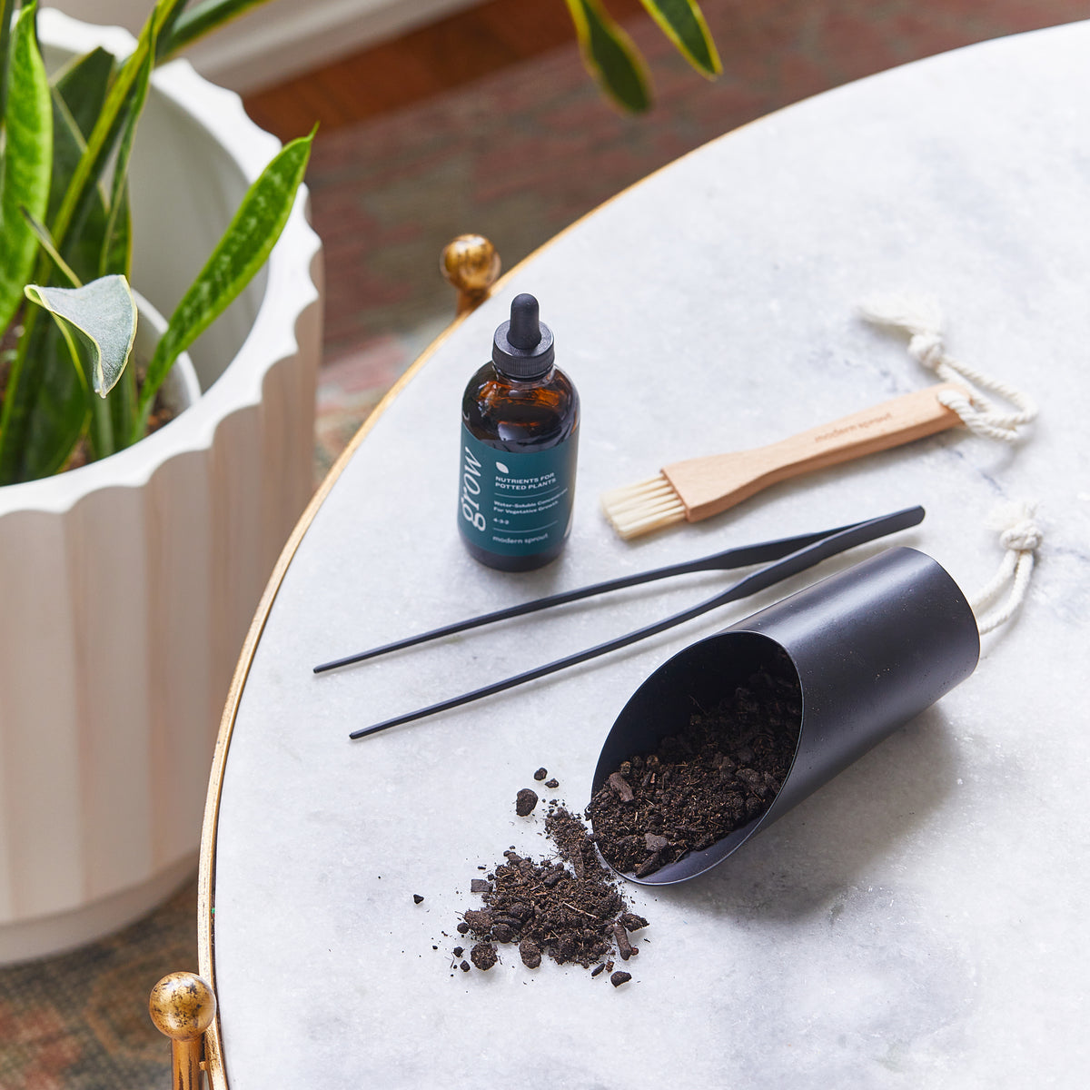 Botanical gift box set featuring a soil scoop, plant care serum, bamboo brush, and two plant stakes on a marble table.