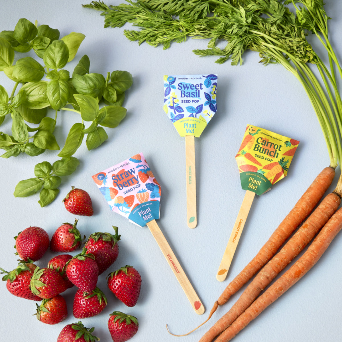 Seed Pops: Easy Seed Starting Made Simple