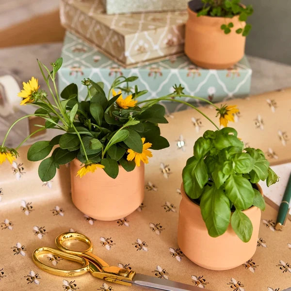 Modern Sprout Tiny Terracotta Sentiment Grow Kits with wildflowers, basil, and clover