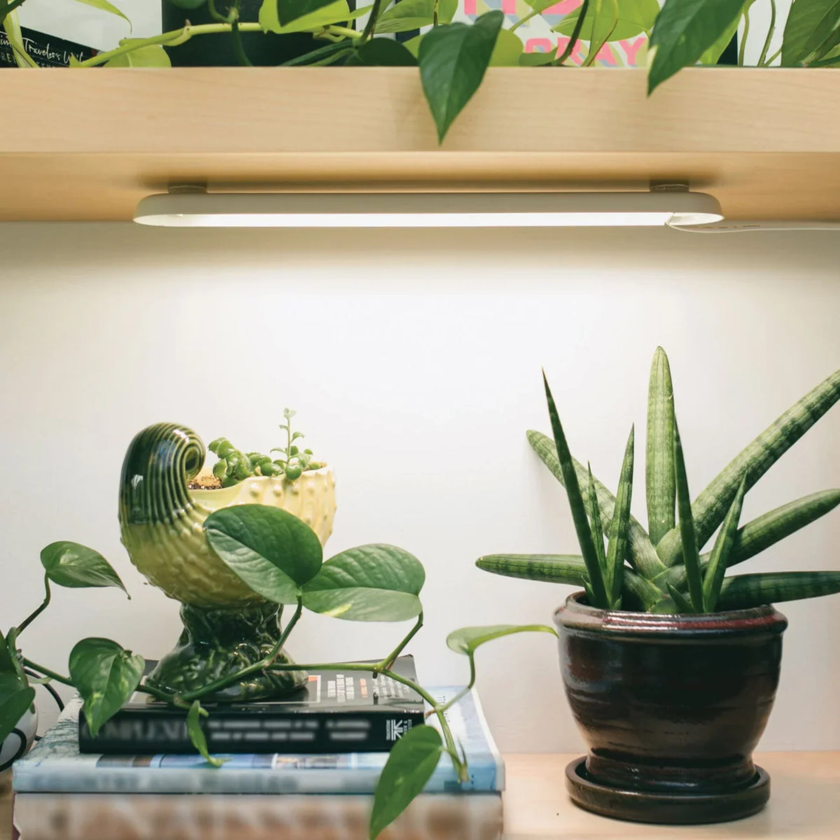 Modern Sprout Smart Growbar mounted under a shelf lighting houseplants