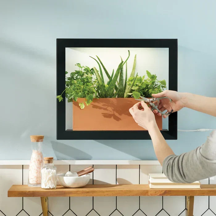 Smart Standard Growframe by Modern Sprout
