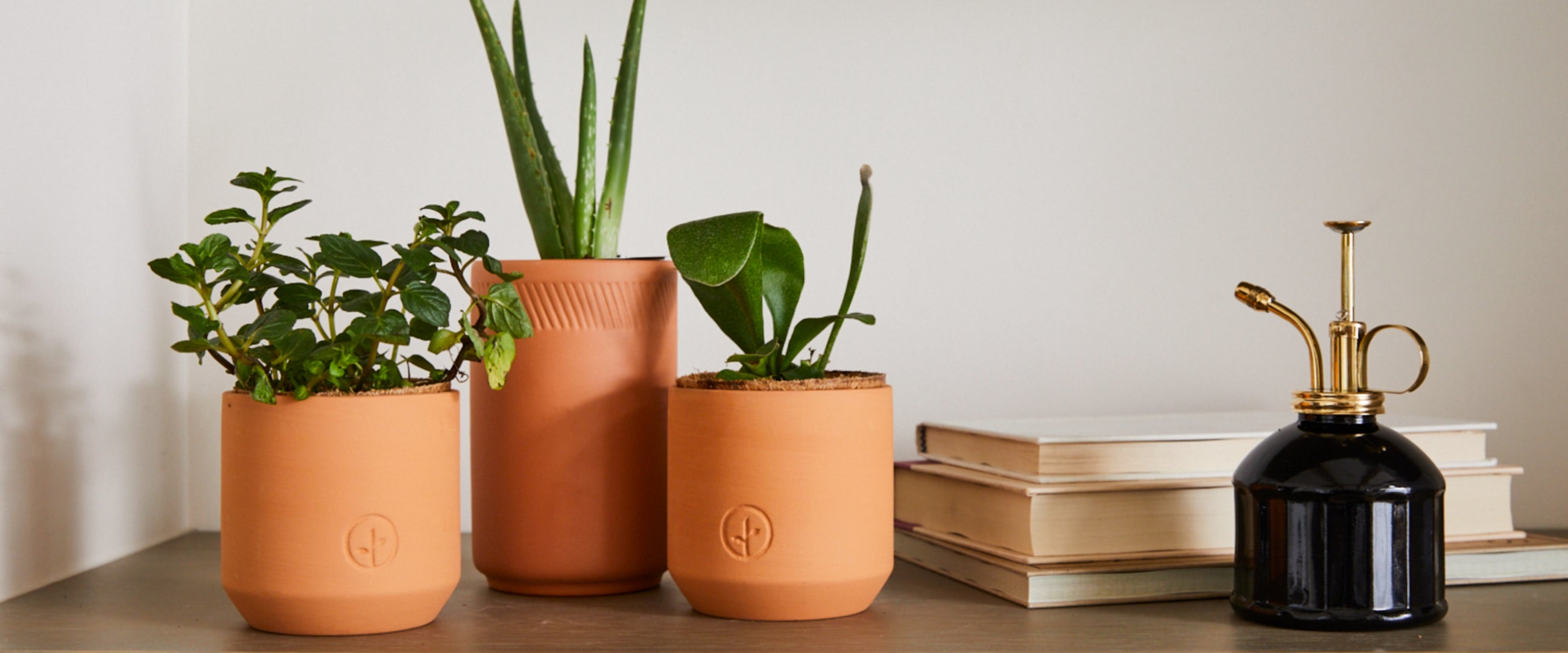Gifts for Indoor Plant Parents