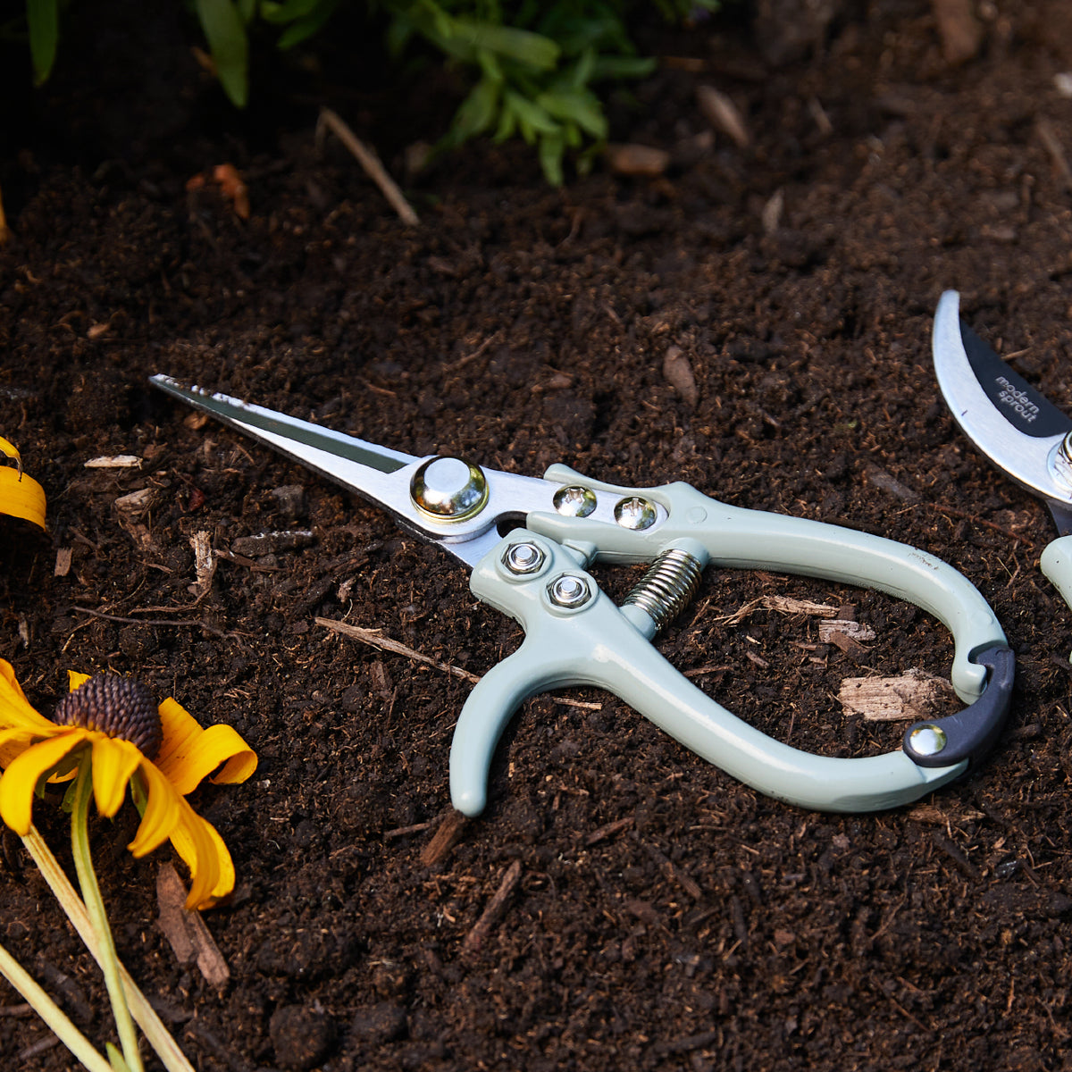 Modern Sprout Gardening Shears & Pruners