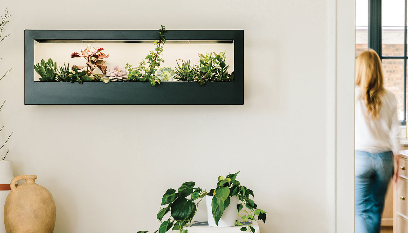 Grow Lights