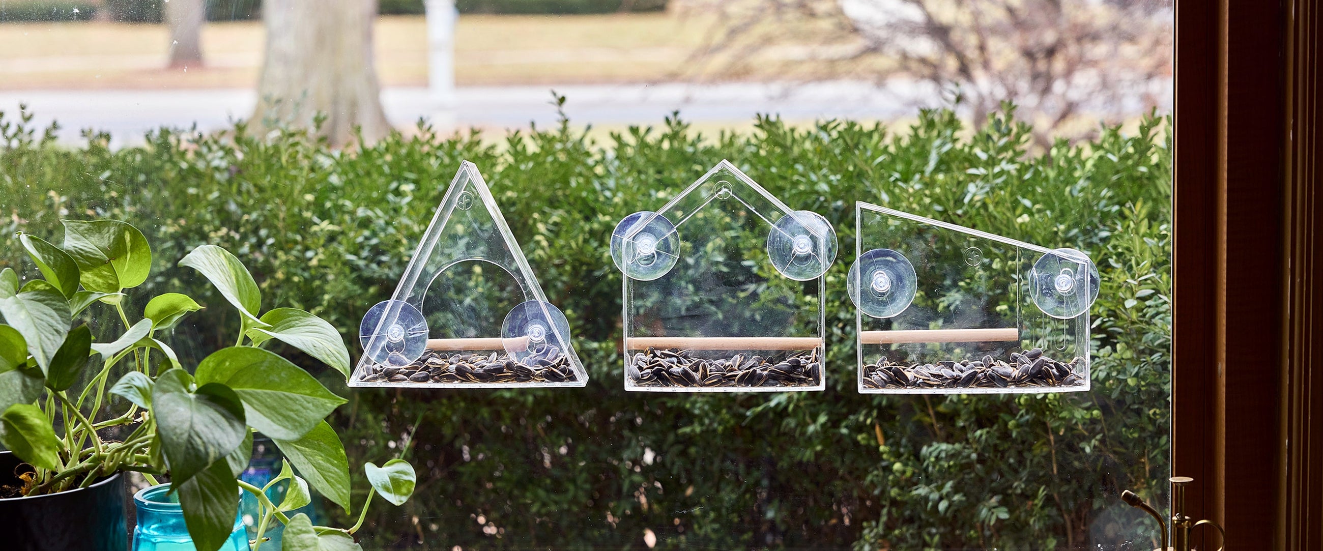 Window Bird Feeders