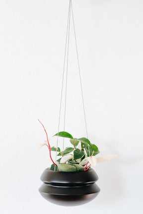 Hanging Planter by Carter + Rose
