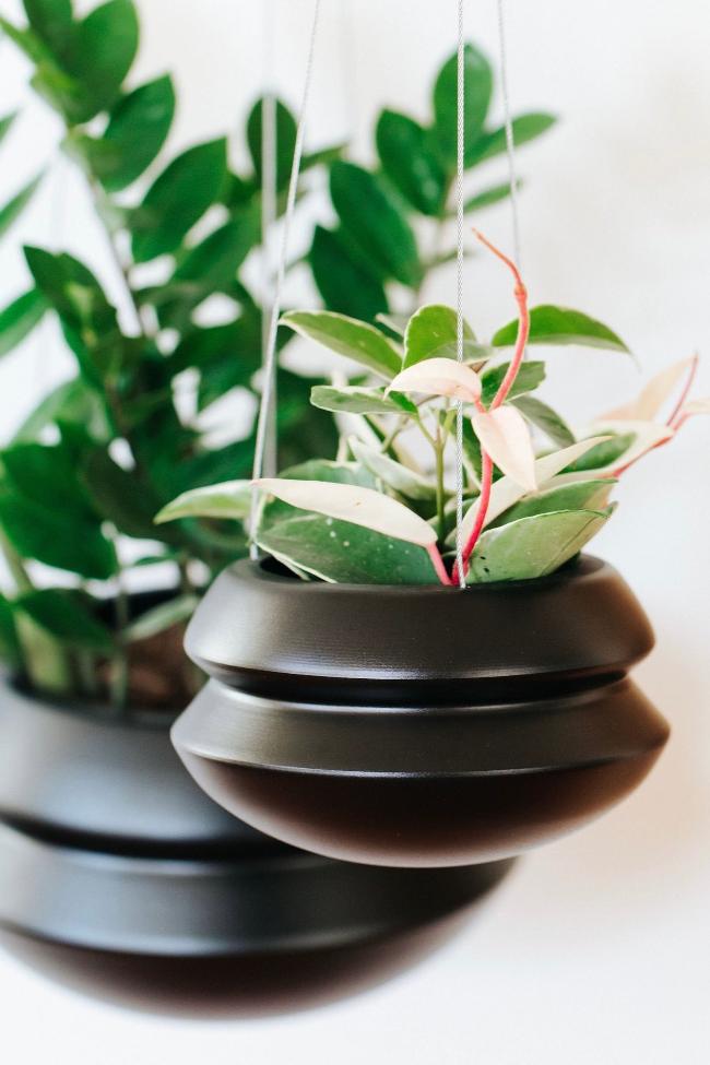 Hanging Planter by Carter + Rose