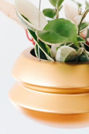 Hanging Planter by Carter + Rose