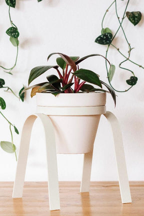 Metal Plant Stand with Porcelain Pot