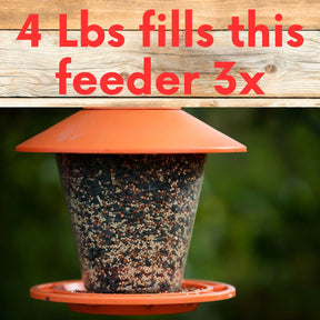 Premium Black Oil Sunflower Wild Bird Seed
