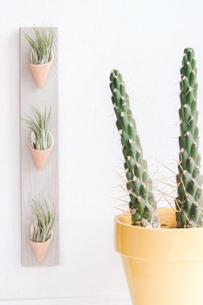 Triple Ceramic Wall Planter