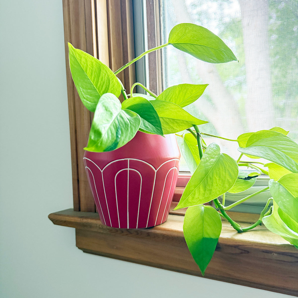 Ceramic Hydroponic Planter
