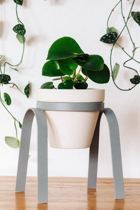 Metal Plant Stand with Porcelain Pot