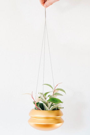 Hanging Planter by Carter + Rose