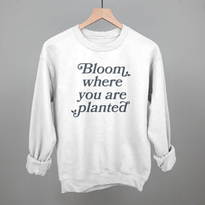 Bloom Where You Are Planted