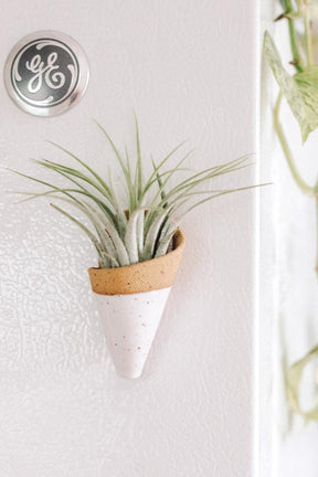 Mini Wall Planter Magnet