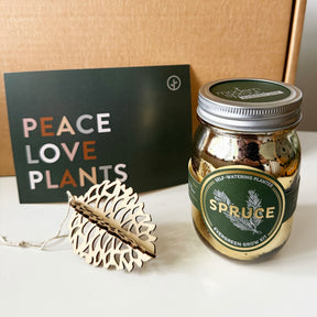Gift Boxes - Seconds