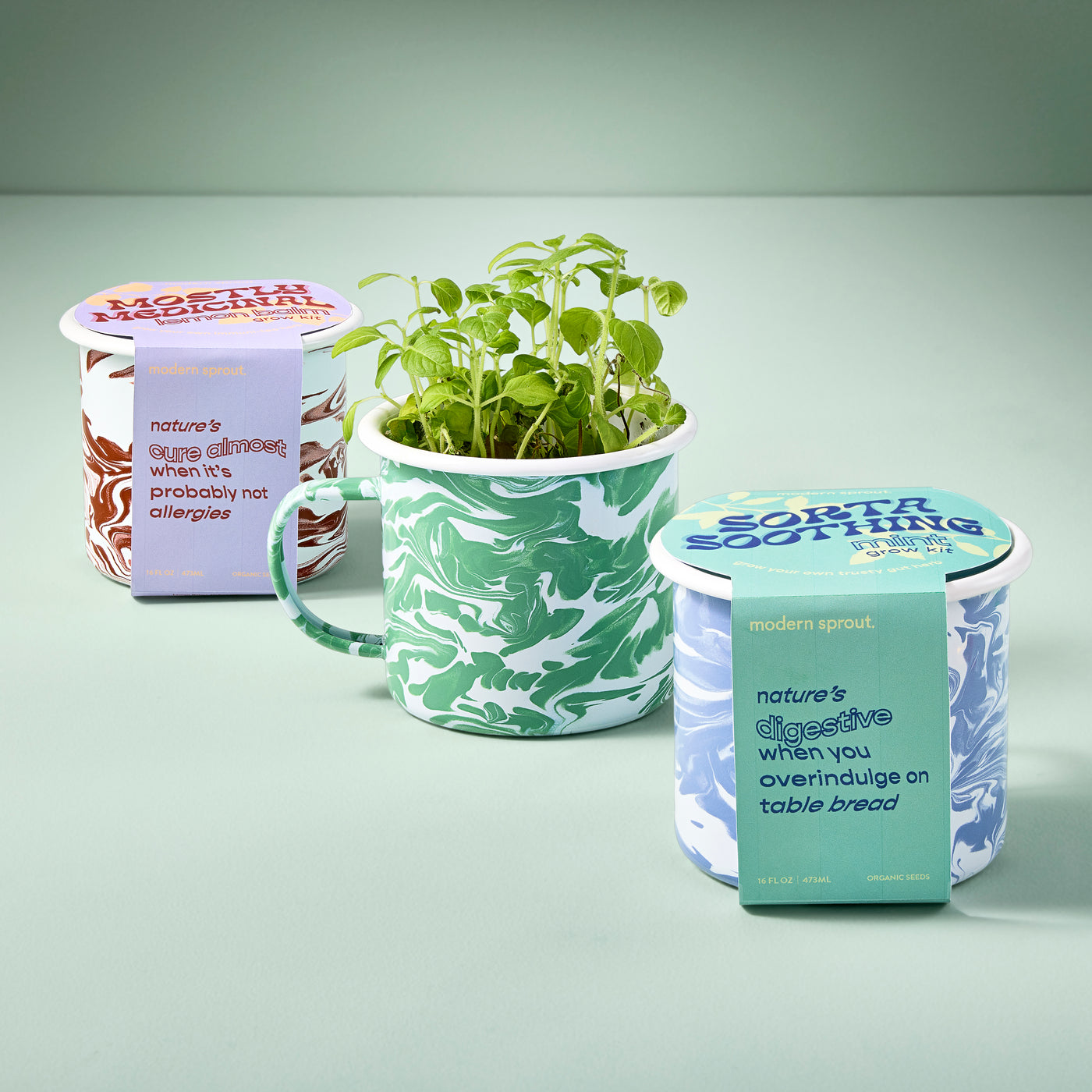 Colorful ceramic mugs with plant grow kits, featuring vibrant designs and labels for soothing and digestive herbs.