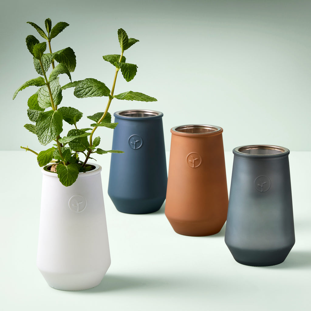 modern sprout self watering planter Modern Sprout Tapered Tumbler Grow Kit