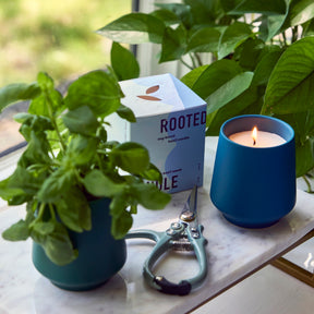 Rooted Candles