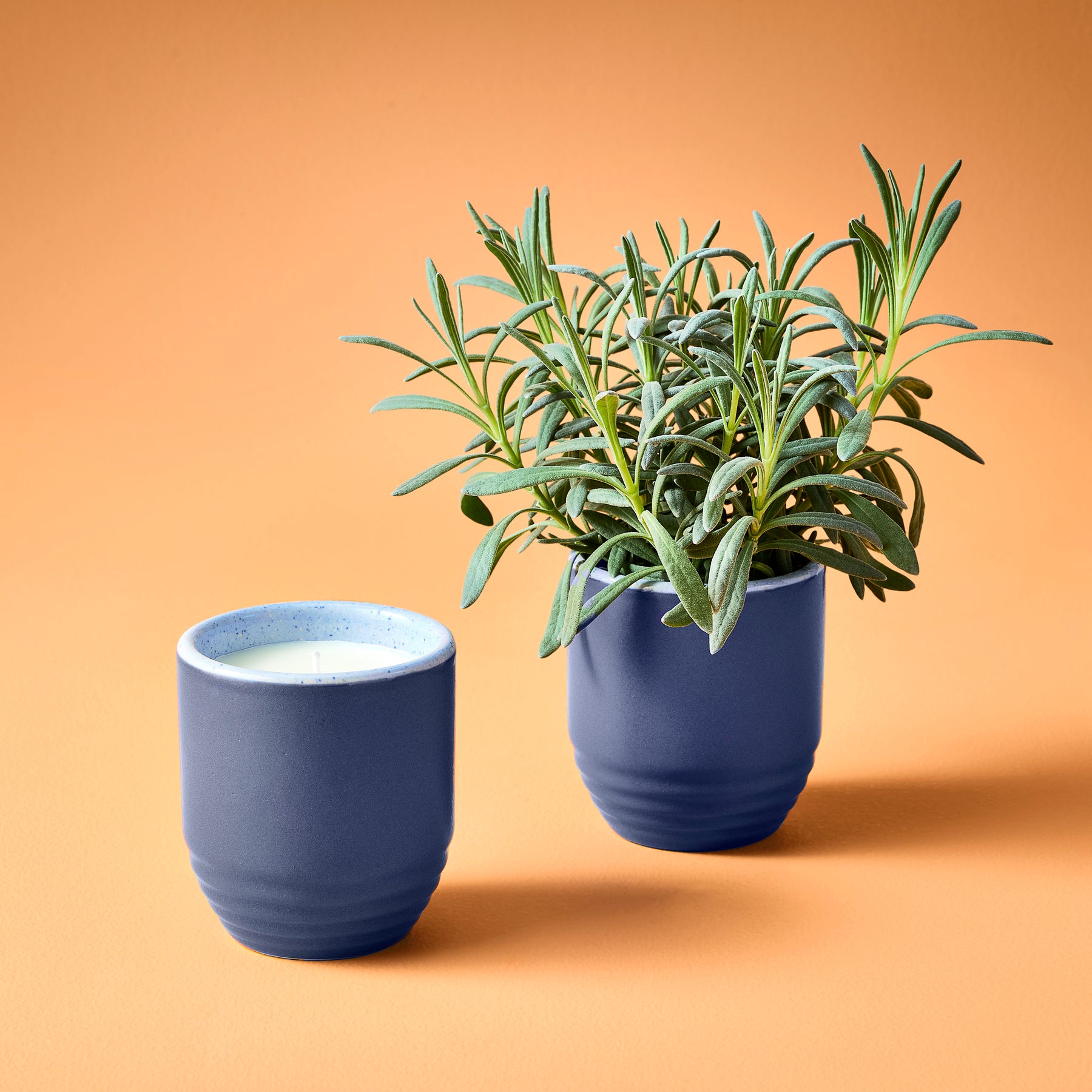 candle to plant pot Garden Vibes Candle/Planter 2-in-1 Violet Hour 1pk