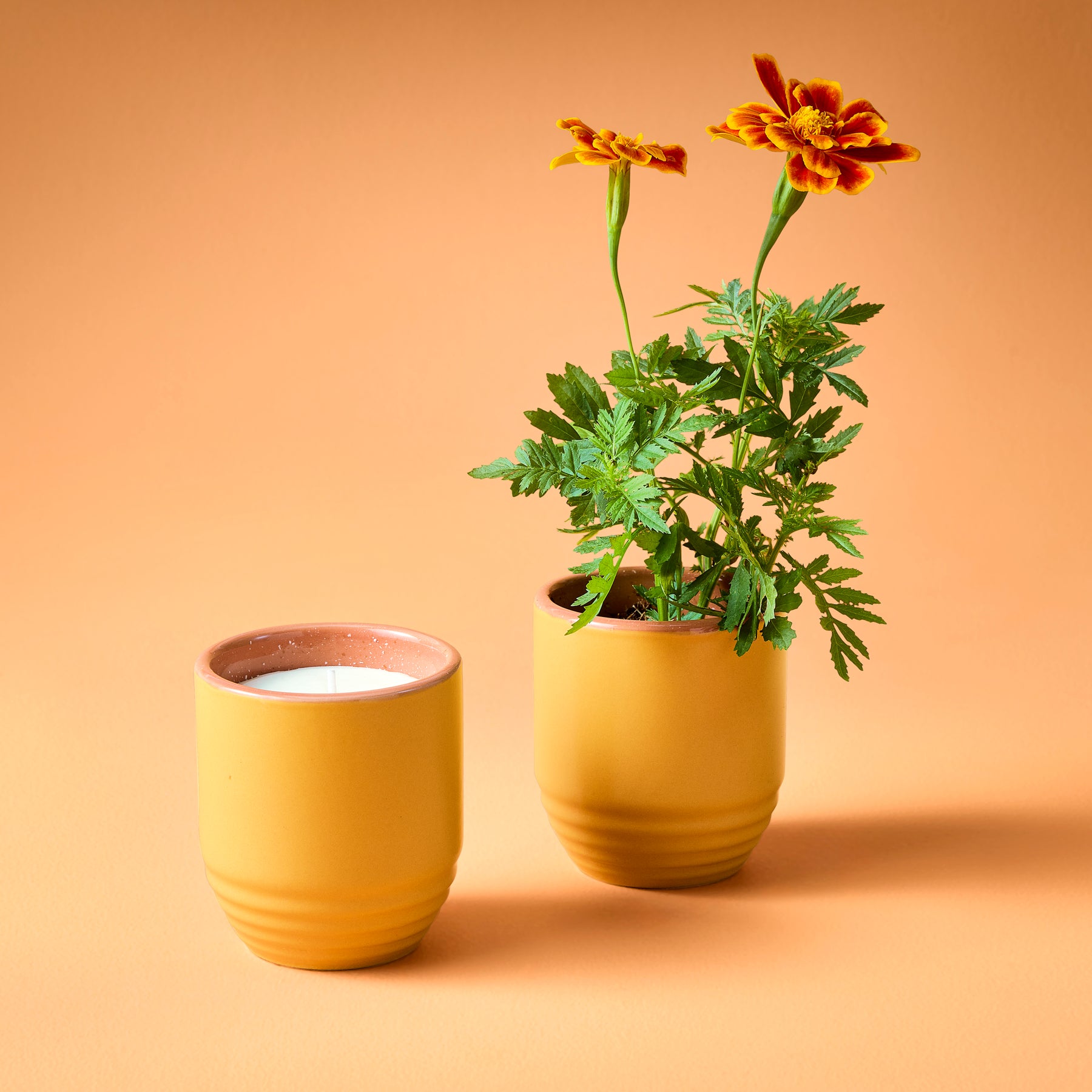candle plant pot Garden Vibes Candle/Planter 2-In-1 | 6Oz Soy Candle | Transformative Vessel