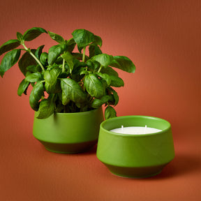 Rooted 3-Wick Candles