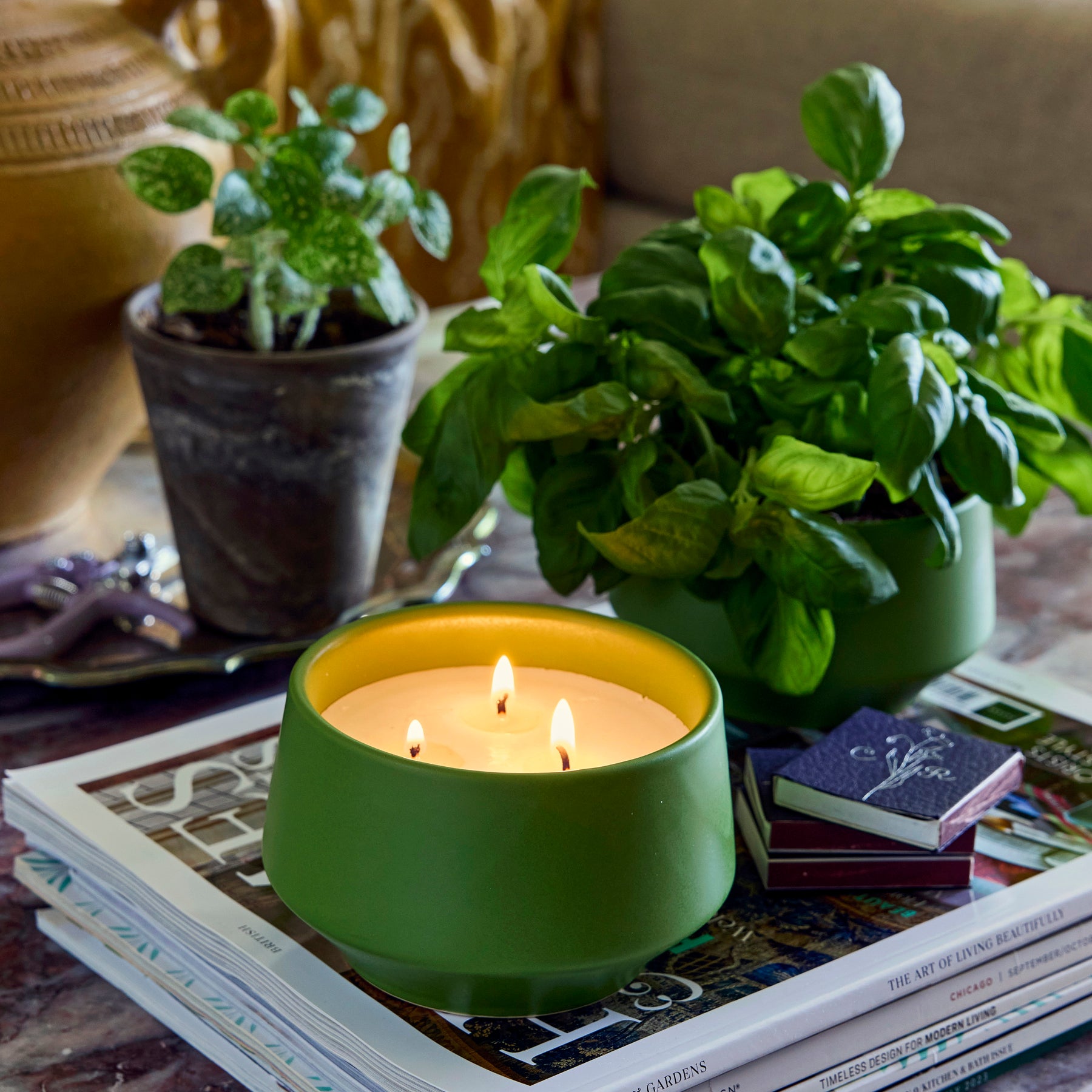 Rooted 3-Wick Candles