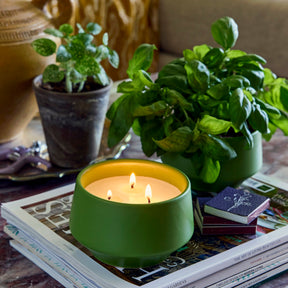 Rooted 3-Wick Candles