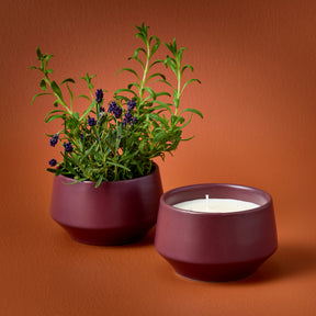 Rooted 3-Wick Candles