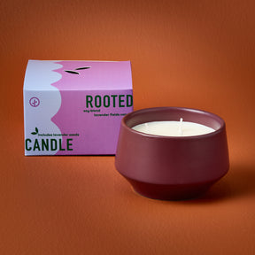 Rooted 3-Wick Candles