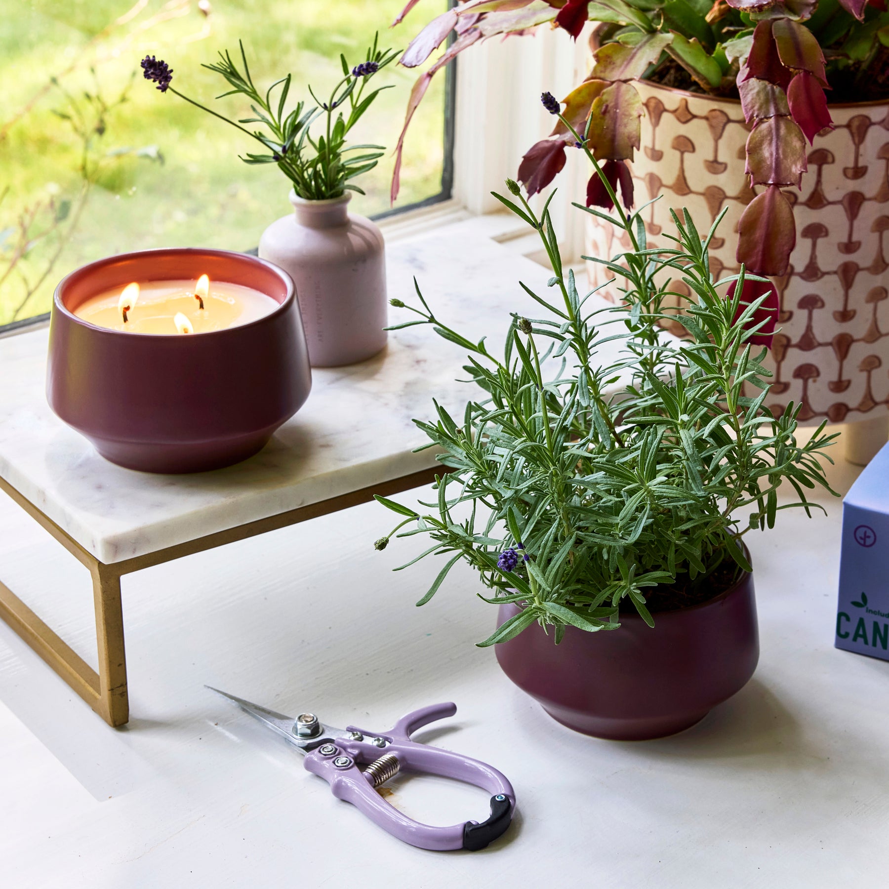 Rooted 3-Wick Candles