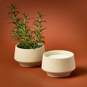 Rooted 3-Wick Candles