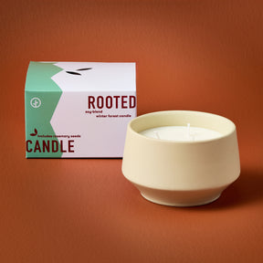 Rooted 3-Wick Candles