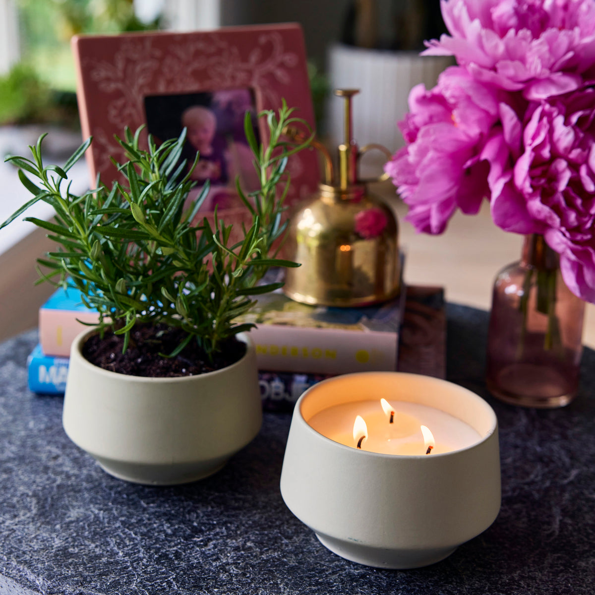 Rooted 3-Wick Candles