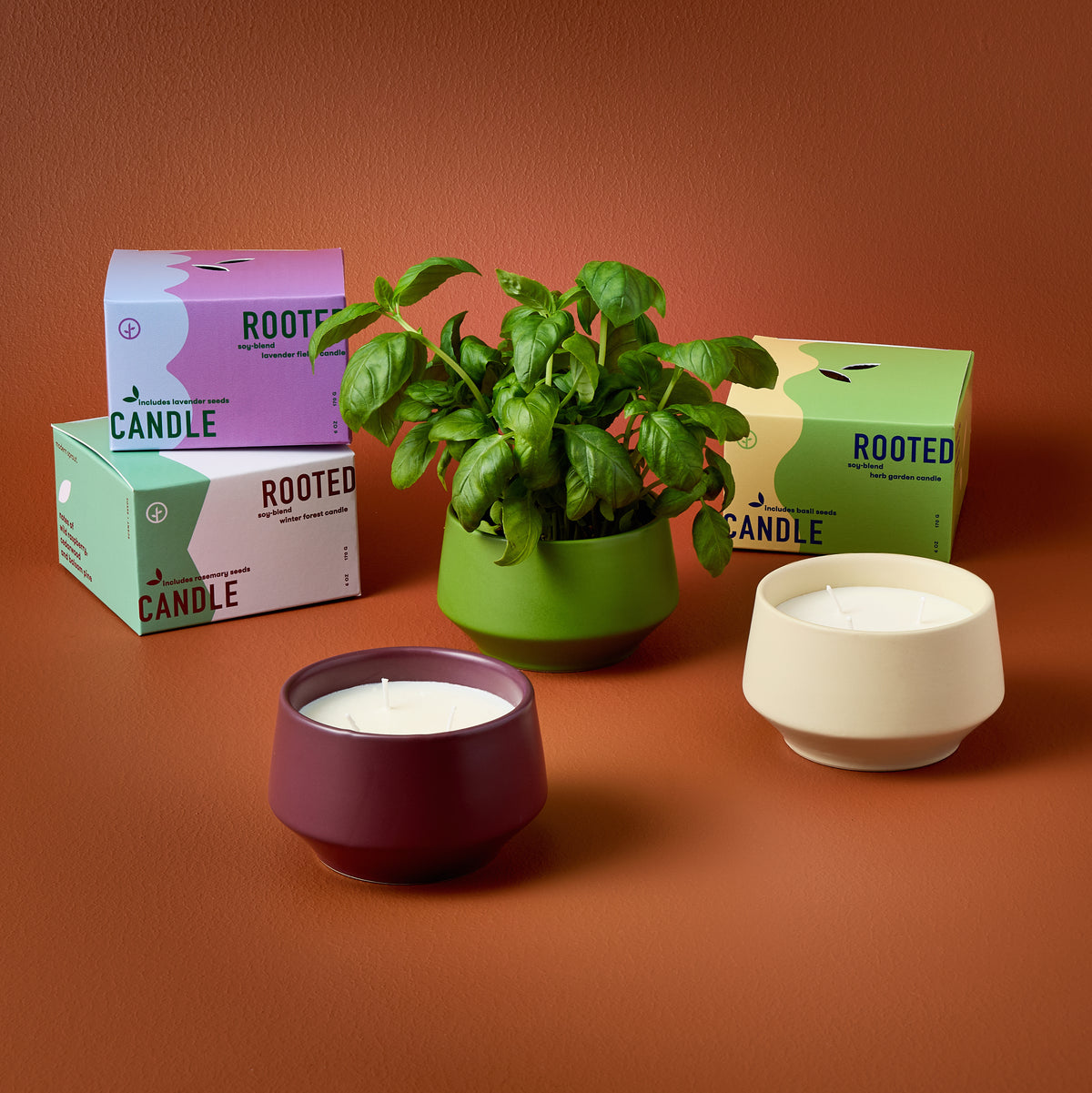 Rooted 3-Wick Candles