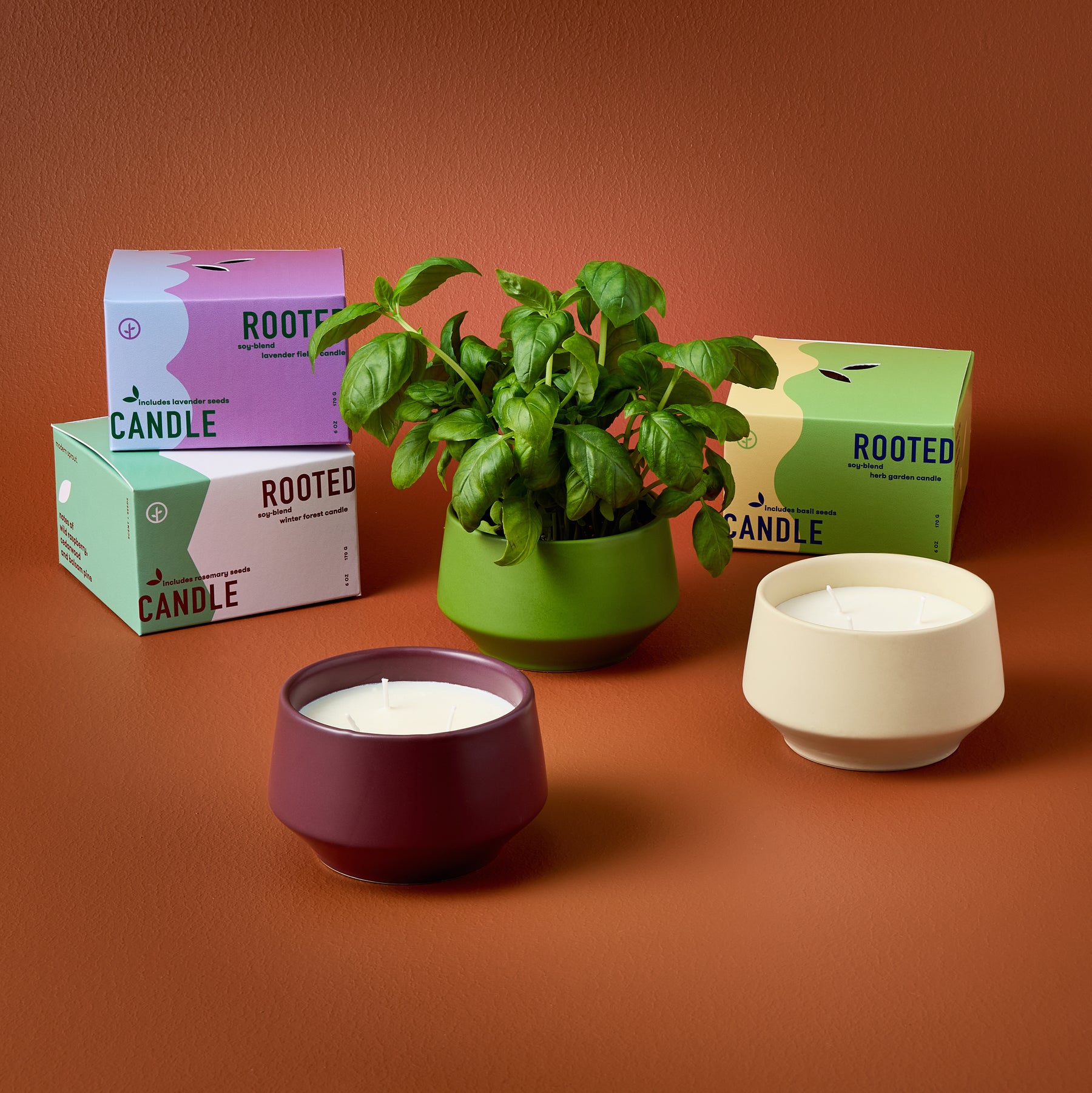 Rooted 3-Wick Candles