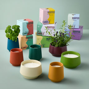 Rooted 3-Wick Candles